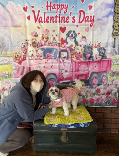 浜名湖ドッググッズとドッグカフェの店。ラリーズカンパニーはバレンタイン仕様